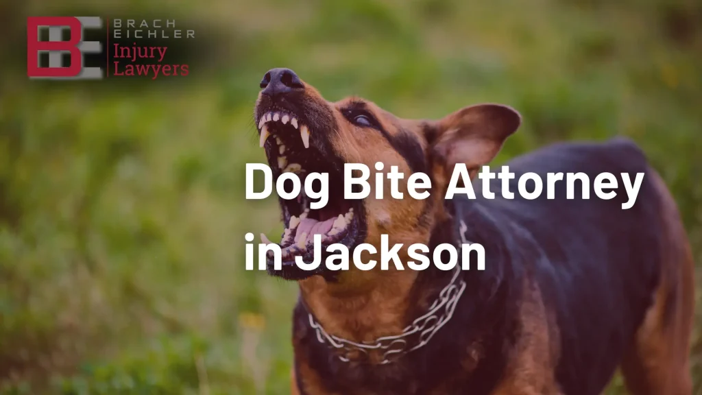 Dog Bite Attorney in Jackson Image