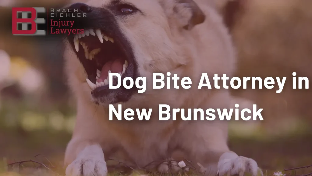 Dog Bite Attorney in New Brunswick Image