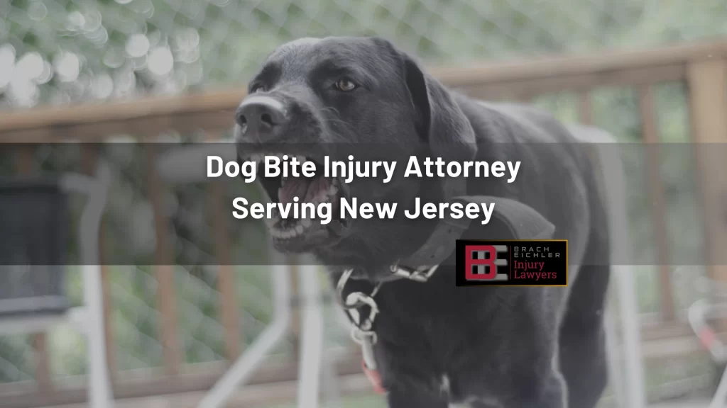 Dog Bite Injury Attorney Serving New Jersey
