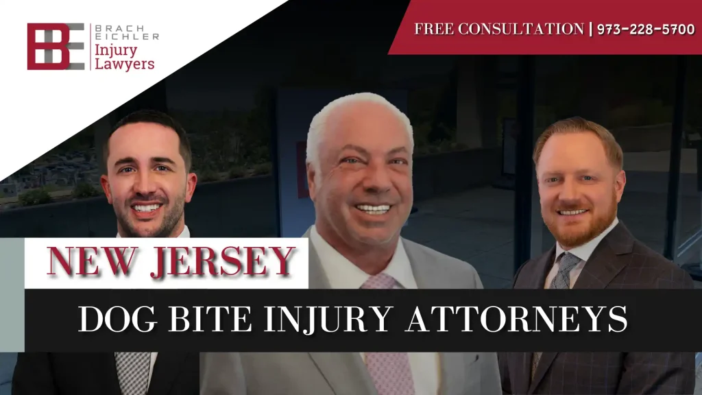 Dog Bite Injury Attorney Serving New Jersey Image