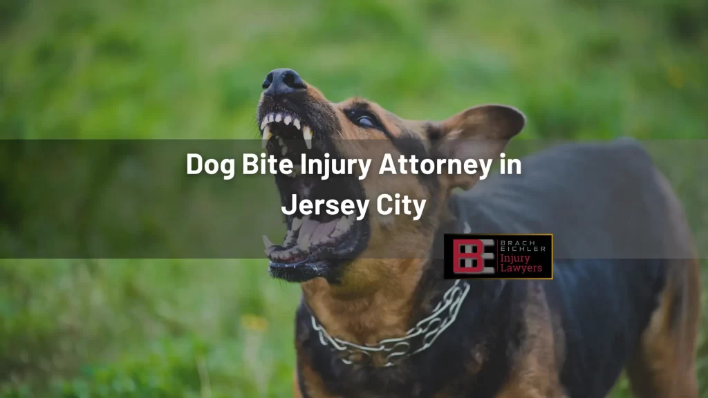 Dog Bite Injury Attorney in Jersey City