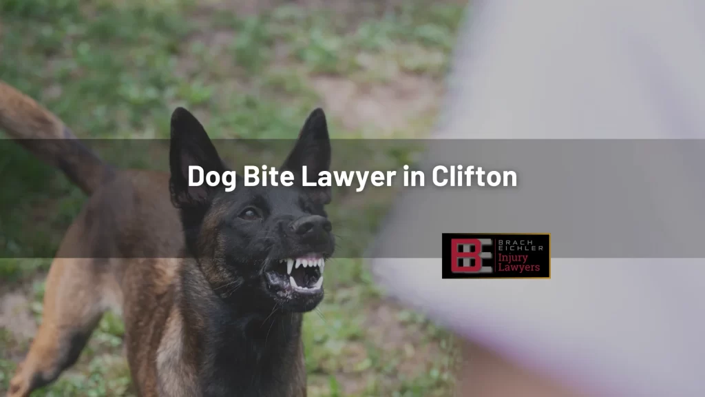 Dog Bite Lawyer in Clifton