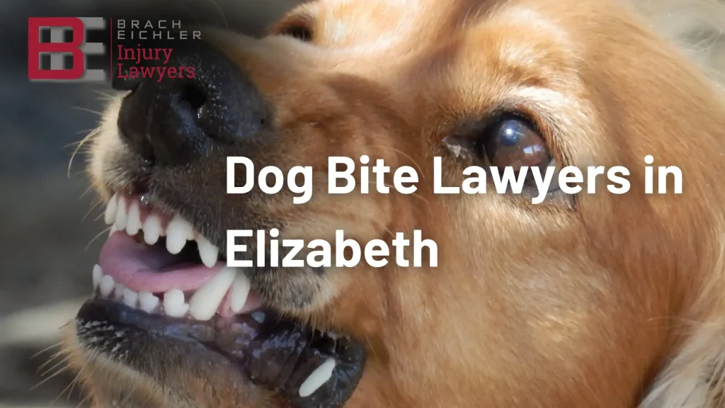 Dog Bite Lawyers in Elizabeth Image