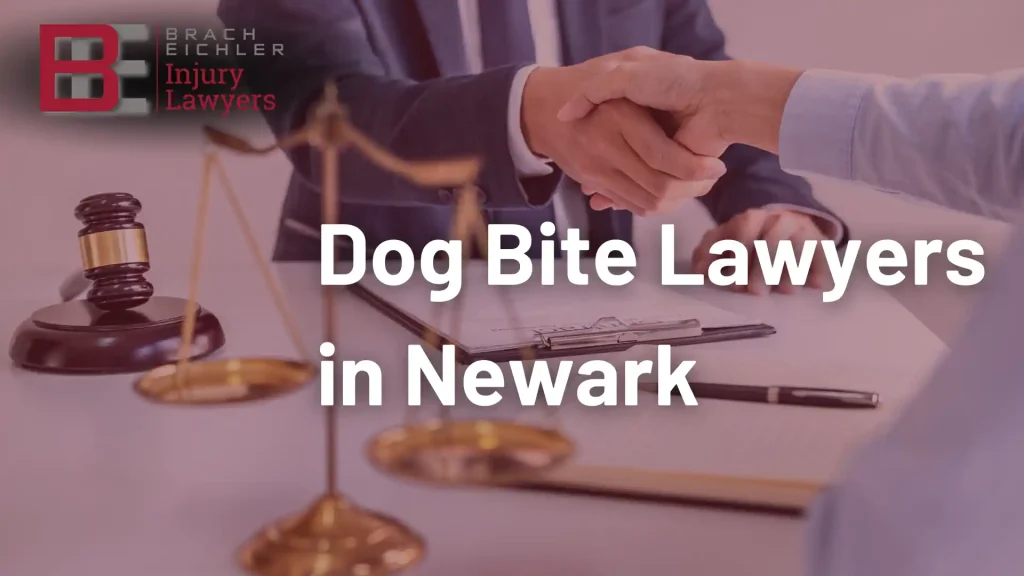 Dog Bite Lawyers in Newark Image
