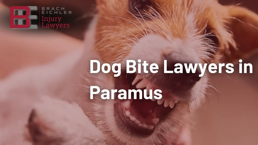 Dog Bite Lawyers in Paramus Image