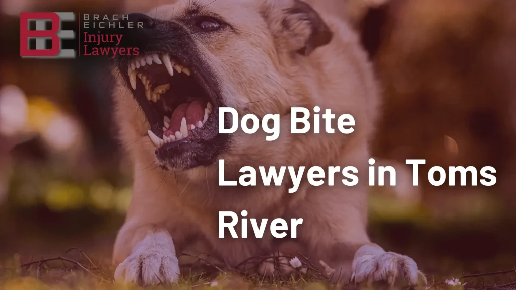 Dog Bite Lawyers in Toms River Image