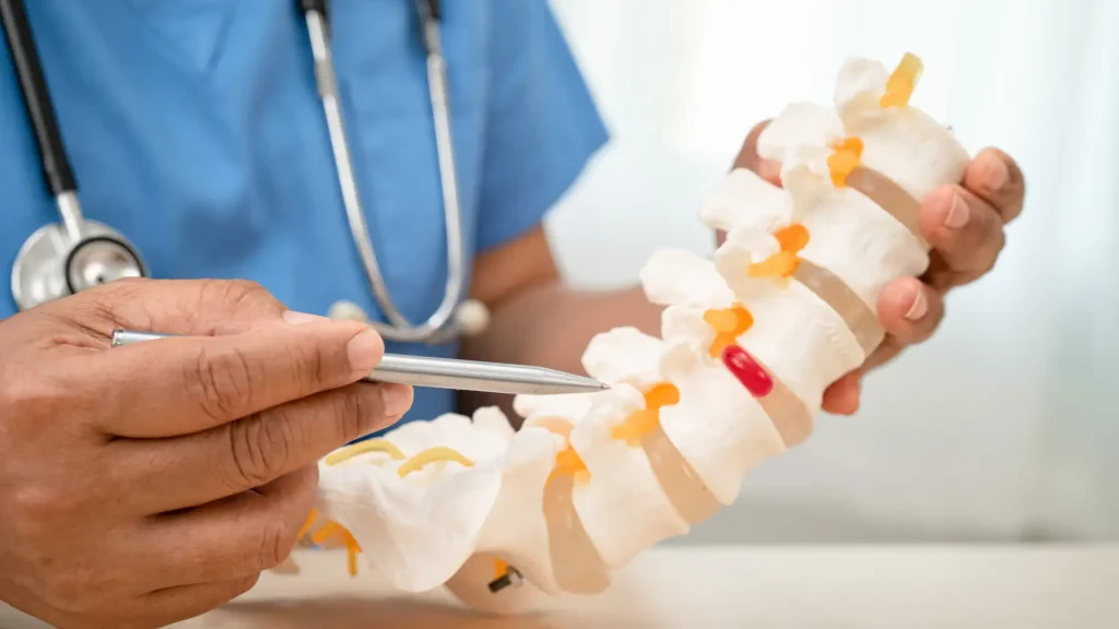 Doctor using tweezers to examine a model of the human spine.